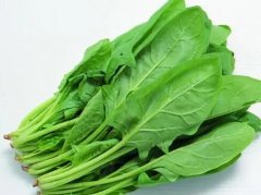 补头发有效15种食物哪个好？这15种食物在线了解，快码住吃起来